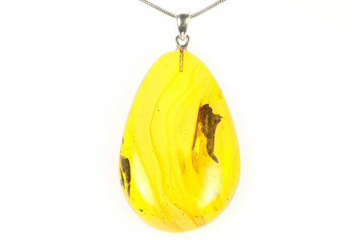 Polished Baltic Amber Pendant (Necklace) - Contains Fly! #297661